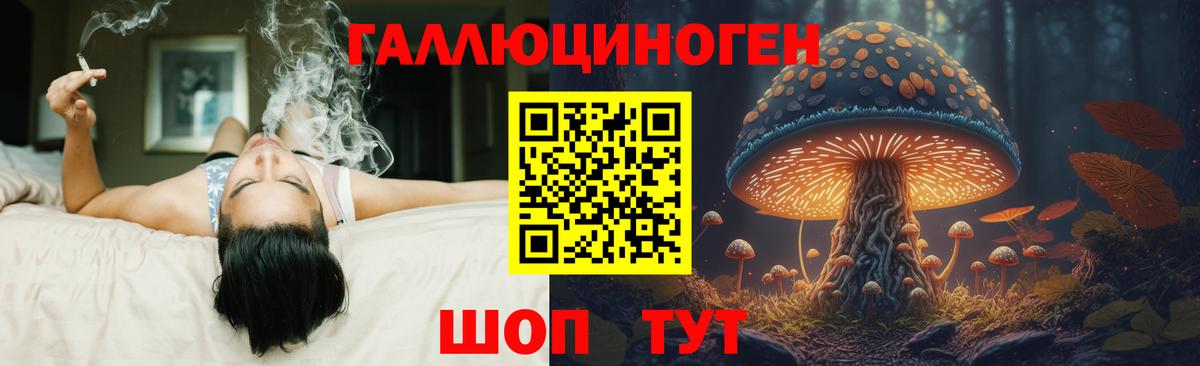 купить   Галлюциногенные грибы MAGIC MUSHROOMS  Вход с VPN  Сердобск 